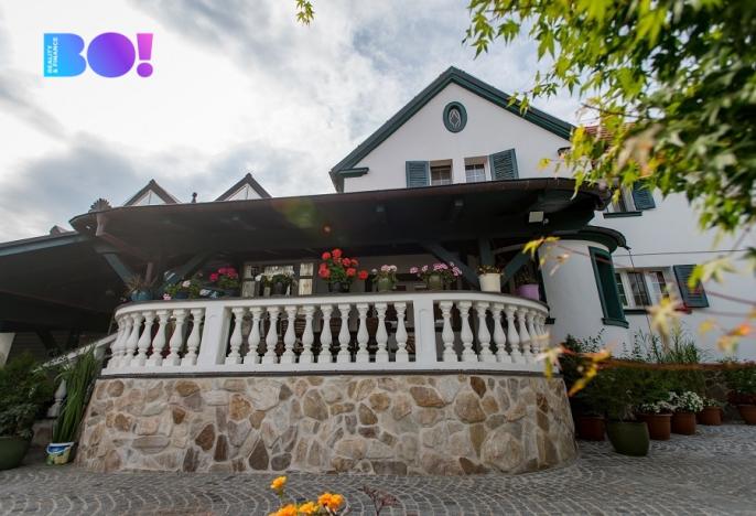 Prodej vily, České Budějovice, Preslova, 180 m2