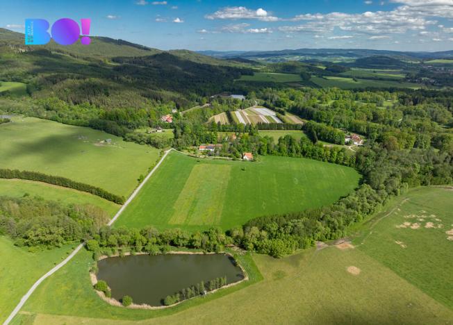 Prodej pole, Chvalšiny, 55021 m2