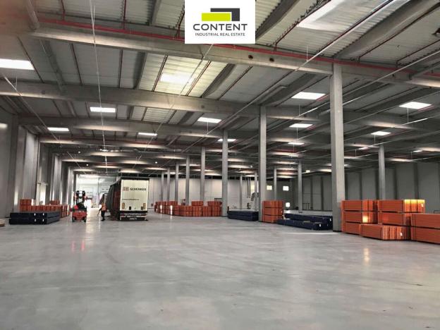 Pronájem výrobních prostor, Kozomín, 3800 m2