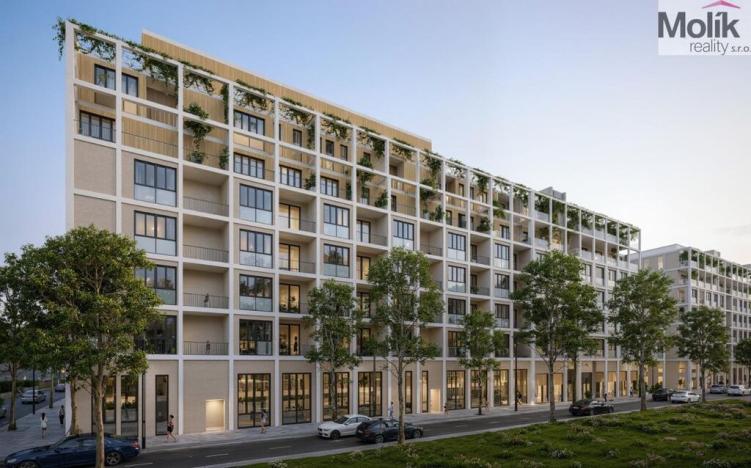 Prodej bytu 2+kk, Golem, 61 m2