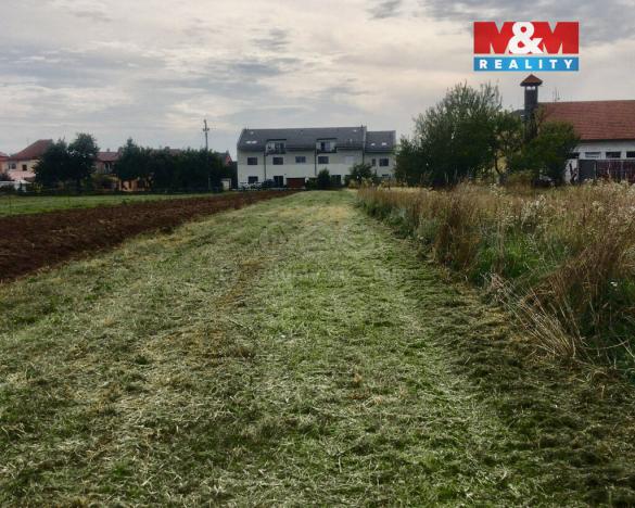 Prodej pole, Přísnotice, 1574 m2