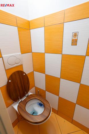 Prodej komerční nemovitosti, Mladé Buky - Kalná Voda, 170 m2