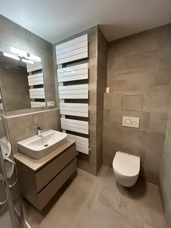 Pronájem bytu 1+kk, Písek, Pražská, 32 m2