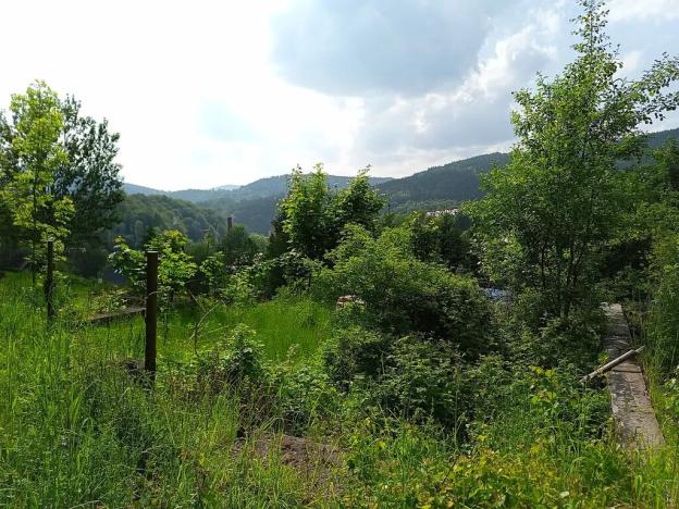 Prodej pozemku pro bydlení, Desná, Hutní, 2111 m2