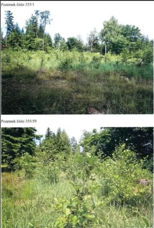 Prodej lesa, Pokojov, 3182 m2