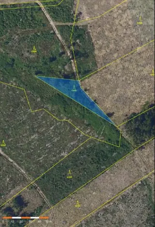 Prodej lesa, Tis, 974 m2