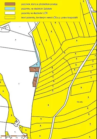 Prodej lesa, Kojčice, 1102 m2