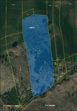 Prodej lesa, Vladislav, 11904 m2