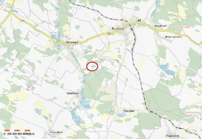 Prodej lesa, Nárameč, 1809 m2