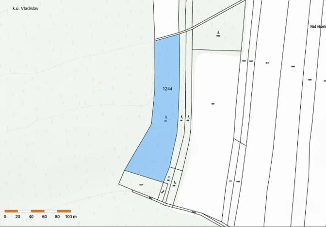 Prodej lesa, Vladislav, 9412 m2