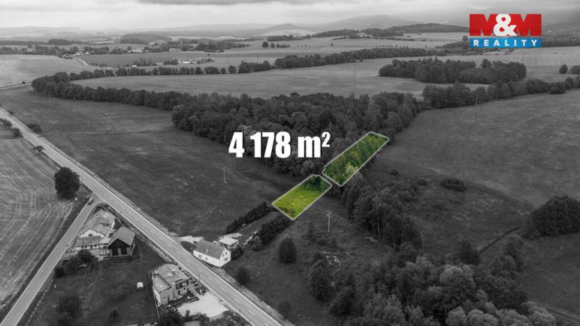 Prodej louky, Dětřichov, 4178 m2