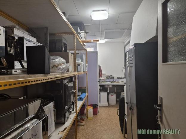 Pronájem výrobních prostor, Světice, V Zahradách, 250 m2