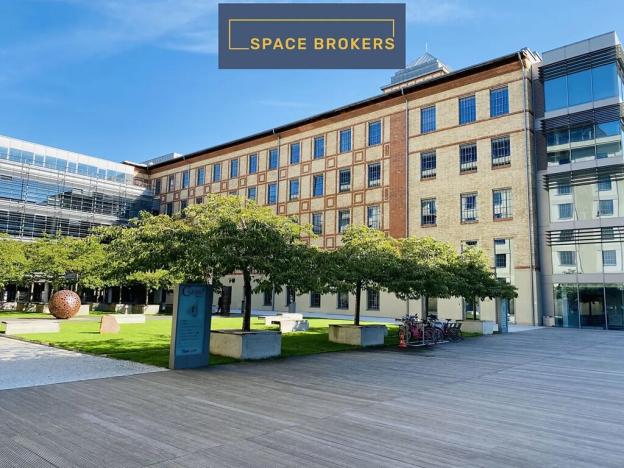 Pronájem kanceláře, Praha - Holešovice, Jankovcova, 620 m2