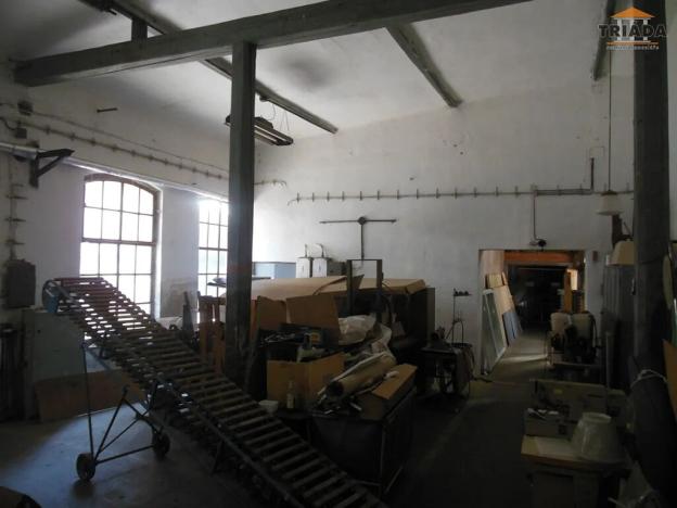 Prodej výrobních prostor, Stružinec, 10029 m2