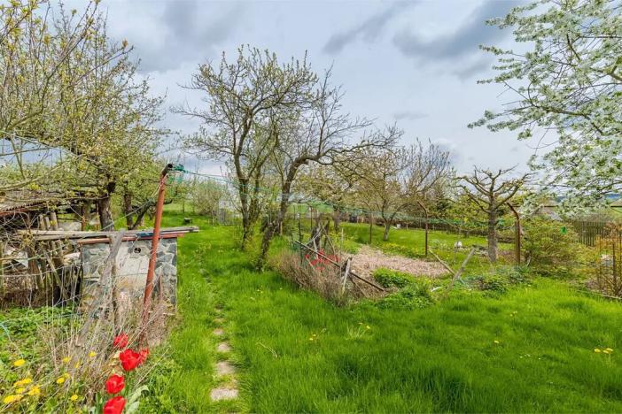 Prodej rodinného domu, Plzeň, Pod Školou, 166 m2