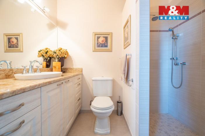 Prodej rodinného domu, Louny, Březinova, 429 m2