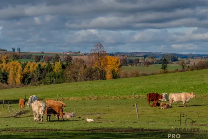 Prodej rodinného domu, Luka nad Jihlavou - Svatoslav, 200 m2