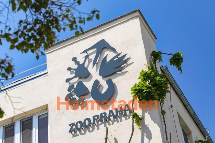 Pronájem bytu 2+1, Praha - Holešovice, U Pergamenky, 36 m2