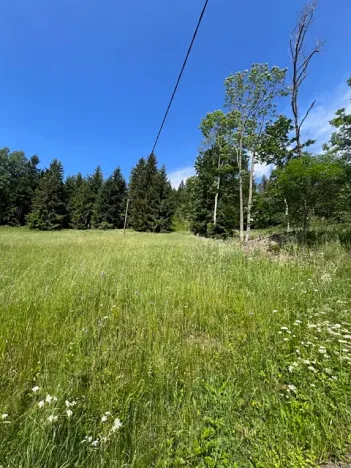 Prodej louky, Jablonec nad Jizerou, 12774 m2