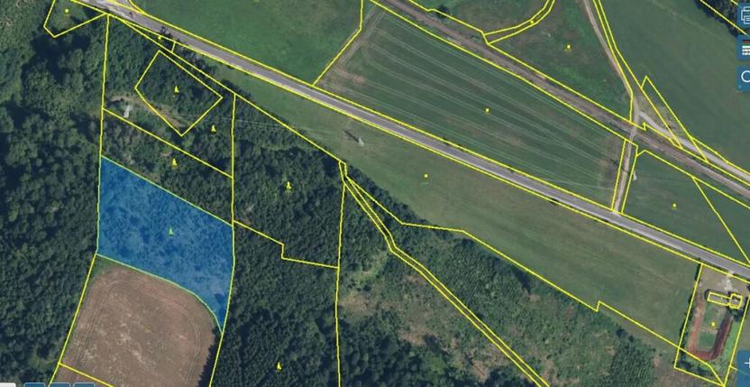 Prodej lesa, Horní Olešnice, 7037 m2