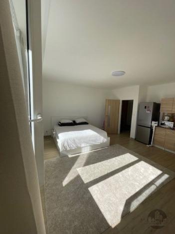 Pronájem bytu 1+kk, Praha - Vysočany, Na Harfě, 36 m2