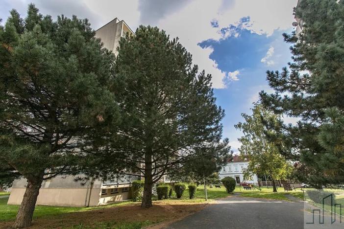 Prodej bytu 3+1, Litvínov, B. Němcové, 62 m2