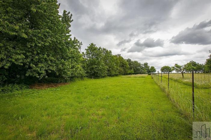 Prodej zemědělské usedlosti, Řepníky, 230 m2