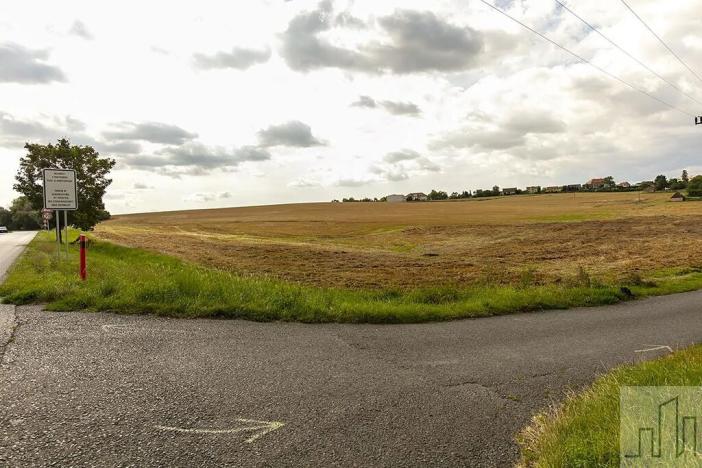 Prodej pozemku pro bydlení, Čížkovice, Růžová, 2480 m2