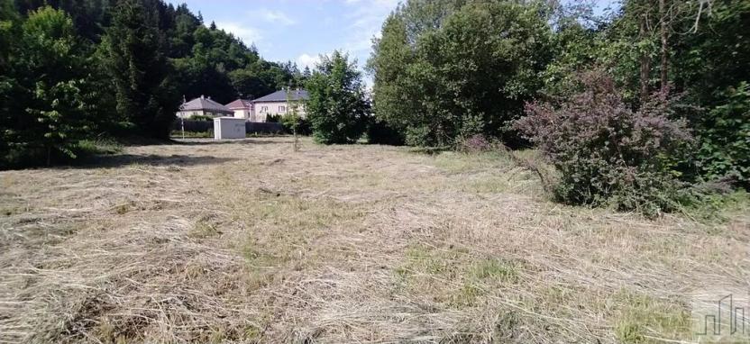 Prodej pozemku pro bydlení, Hanušovice, 3222 m2