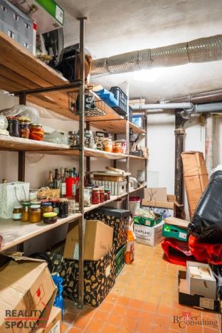 Prodej rodinného domu, Brno - Žabovřesky, Příkrá, 334 m2