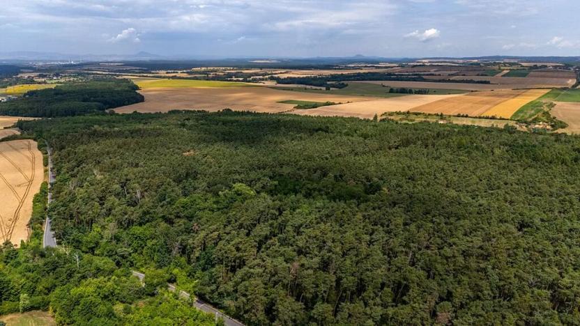 Prodej pozemku pro bydlení, Mělník, Chloumecká, 2624 m2