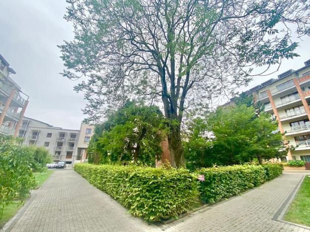 Prodej bytu 3+kk, Praha - Dejvice, Lindleyova, 93 m2