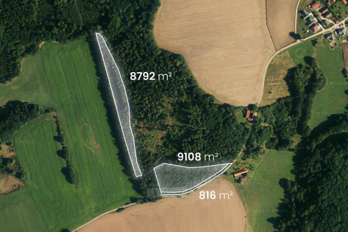 Prodej lesa, Hluboká nad Vltavou - Kostelec, 18716 m2
