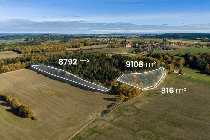 Prodej lesa, Hluboká nad Vltavou - Kostelec, 18716 m2