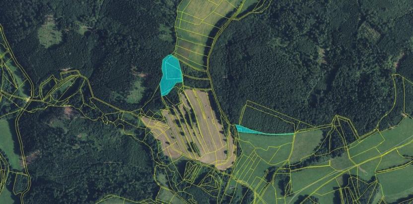 Prodej lesa, Drozdov, 11901 m2