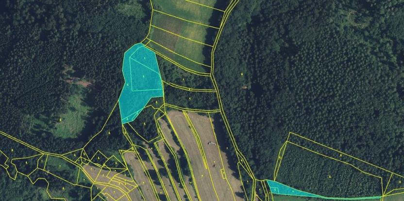 Prodej lesa, Drozdov, 11901 m2