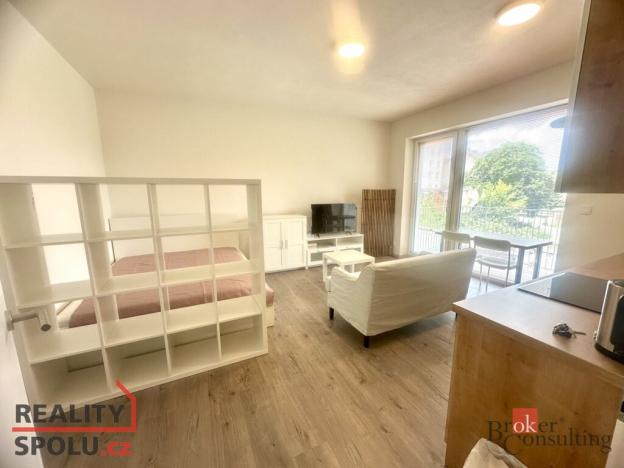 Pronájem bytu 1+kk, Brno - Trnitá, Křenová, 32 m2