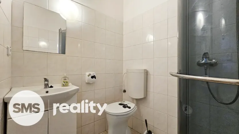 Pronájem bytu 1+kk, Opava - Město, Nákladní, 32 m2