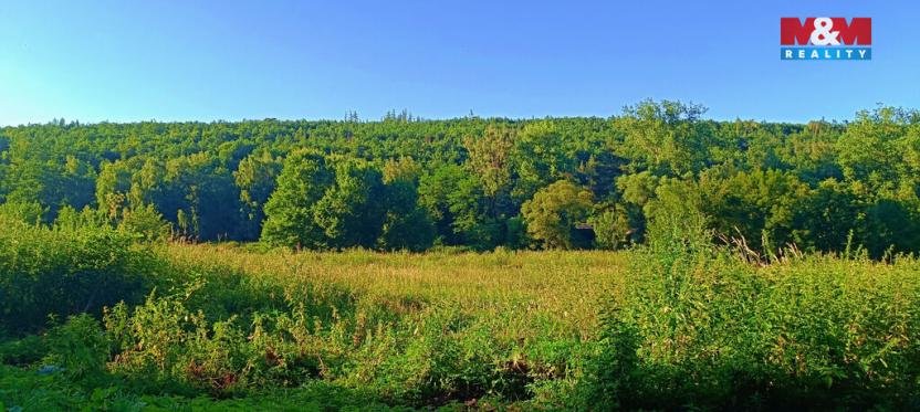 Prodej louky, Nižbor - Žloukovice, 1665 m2