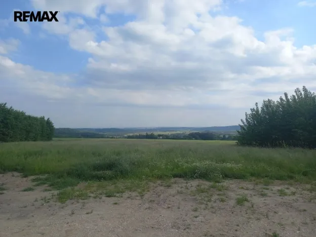 Prodej pole, Doubravice, 17750 m2