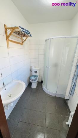 Prodej komerčního pozemku, Lišov, 3904 m2