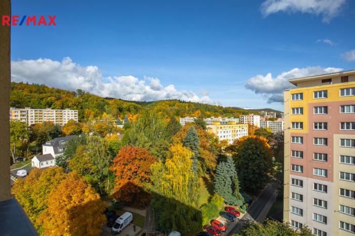 Prodej bytu 2+1, Litvínov - Horní Litvínov, Tylova, 55 m2