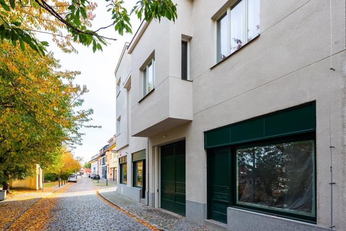 Prodej bytu 5+kk, Praha - Střešovice, Nad hradním vodojemem, 193 m2