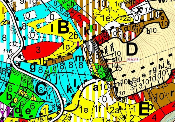 Dražba lesa, Spešov, 1009 m2