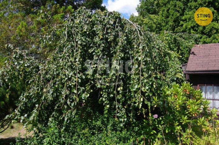 Prodej zahrady, Havířov - Prostřední Suchá, 354 m2