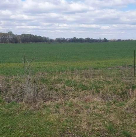 Dražba zahrady, Plzeň, 7558 m2