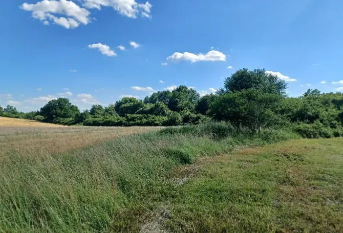 Dražba pozemku, Česká Lípa, 10090 m2