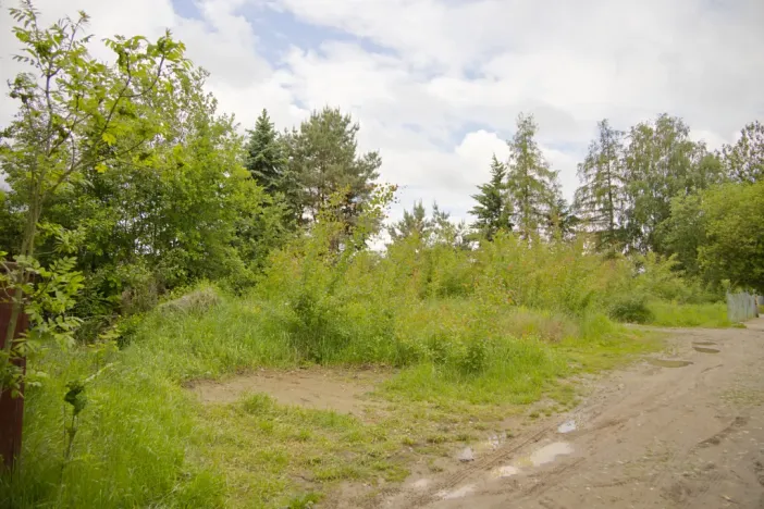 Prodej pozemku pro bydlení, Tábor, Družstevní, 1117 m2