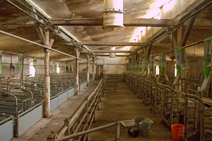 Prodej zemědělského objektu, Třešovice, 1059 m2