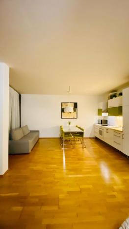 Pronájem bytu 1+kk, Praha - Žižkov, Jeseniova, 67 m2